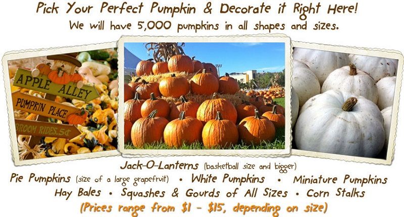 Pick your own pumpkin at the pumpkin patch! Grab your Coconut Grove Pumpkin Patch Festival promo code, and enter to win a family four pack of tickets. 
