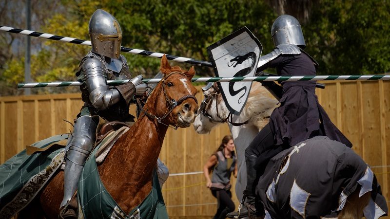 The 2018 Florida Renaissance Festival is back for it's 26th year. Medieval since the 16th Century, be prepared to be delighted and amused with new themed weekends, performers, activities, and more!