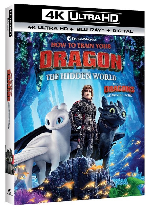 Enter to win the How To Train Your Dragon The Hidden World Blu-ray giveaway and download free printable coloring and activity sheets.
